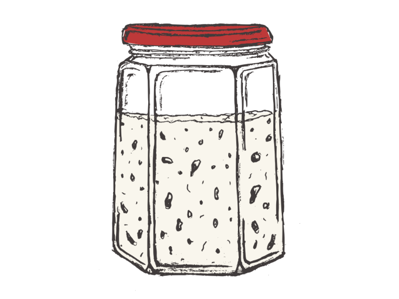 Sourdough Starter